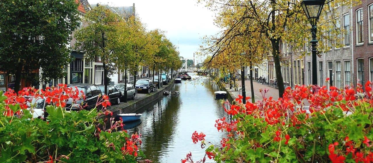 Поведение туристов побуждает Амстердам переместить квартал красных фонарей из центра города