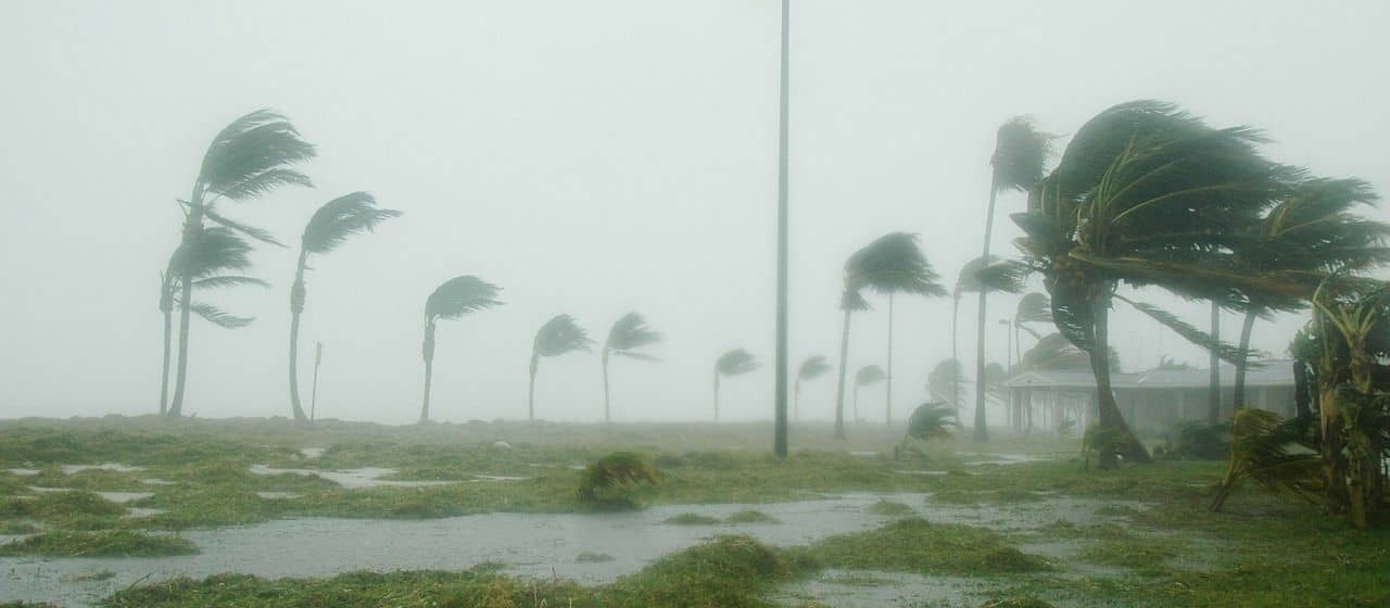 Калбарри: Мощный шторм из тропиков Сероя, без электричества остались десятки тысяч людей