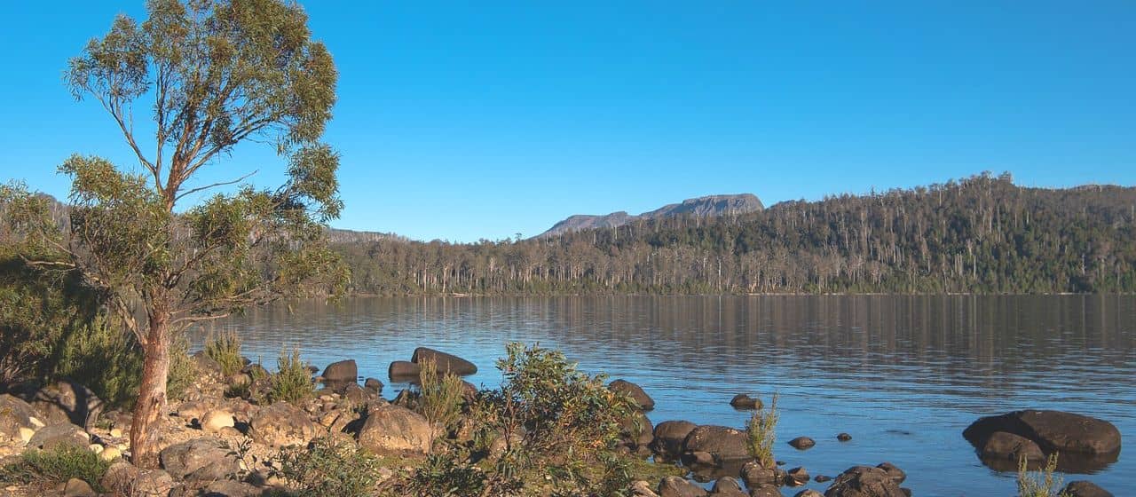 Туризм в Тасмании восстанавливается, но другие страны все еще борются с коронавирусом