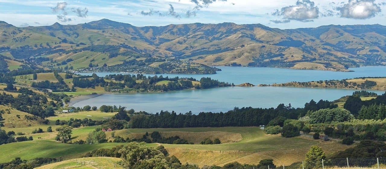 Новая Зеландия думает об ограничении туризма в мире после коронавируса