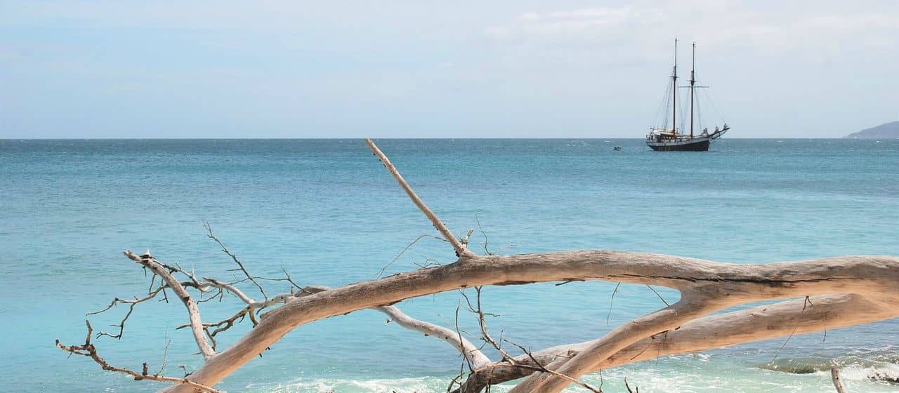 Совет по туризму Сейшельских островов сотрудничает с Global Impact Network для поддержания экологии региона