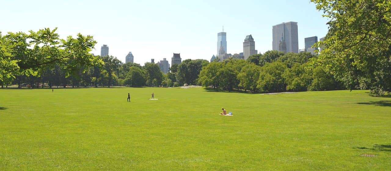 10 вещей, которые нужно сделать на свежем воздухе в Нью-Йорке этим летом 4