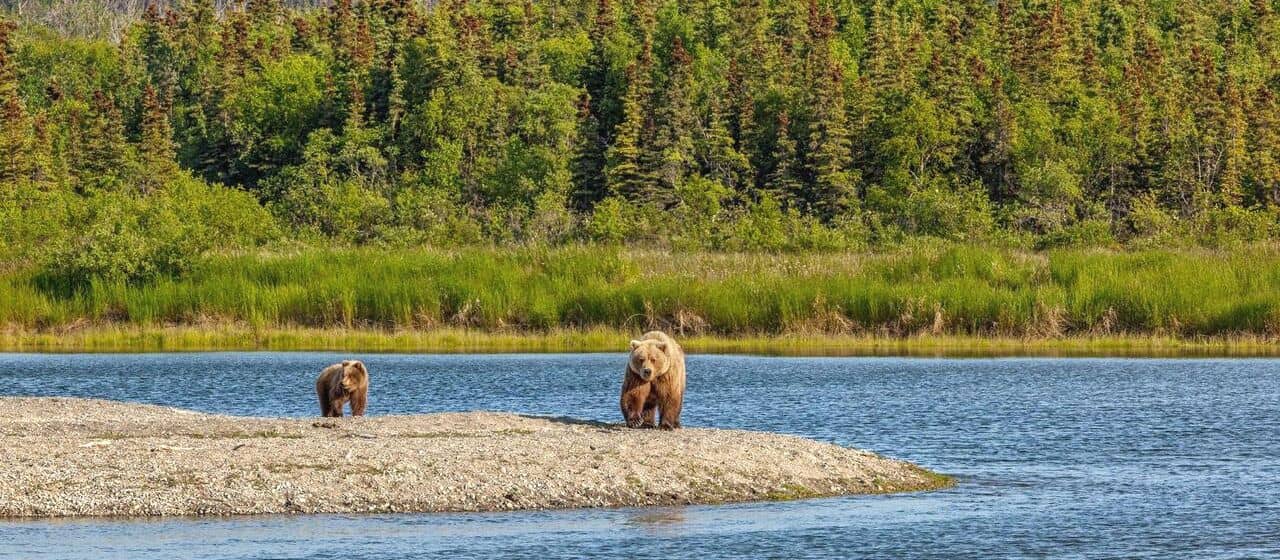 6 малоизвестных национальных парков, которые стоит посетить на Аляске 5