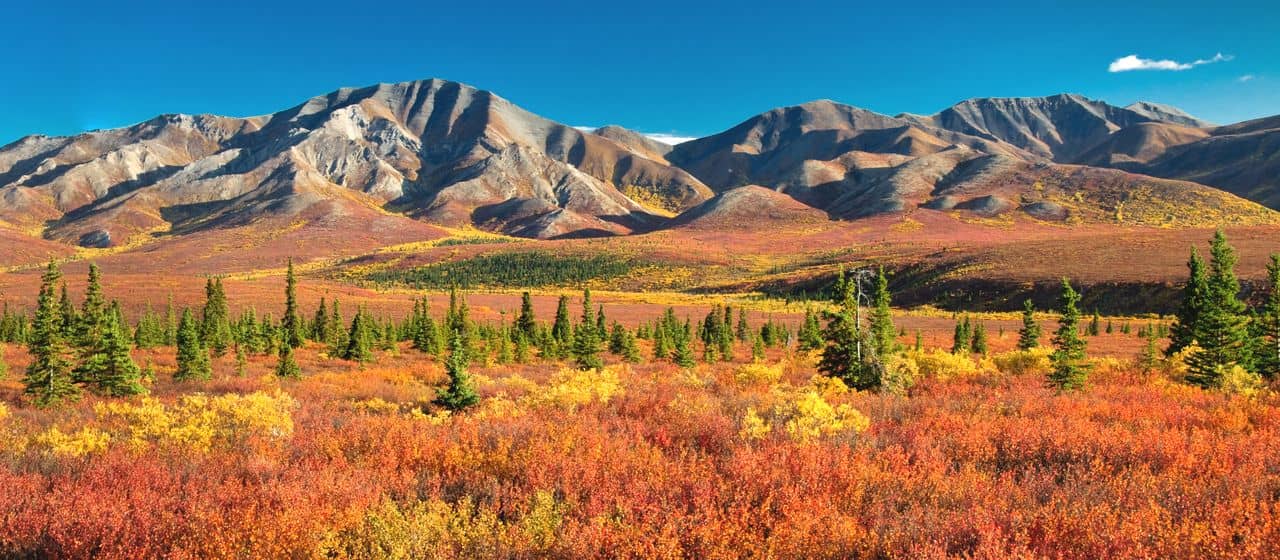 6 малоизвестных национальных парков, которые стоит посетить на Аляске