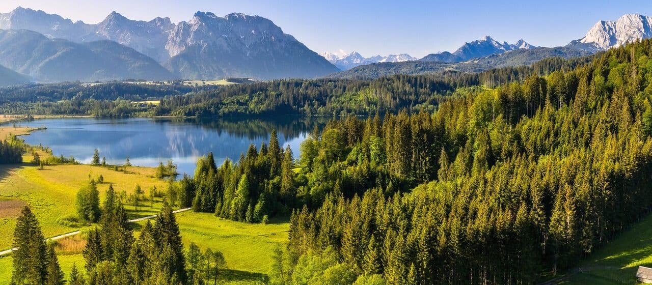 Долгосрочный проект по защите климата: аэропорт Мюнхена создает «климатический лес»