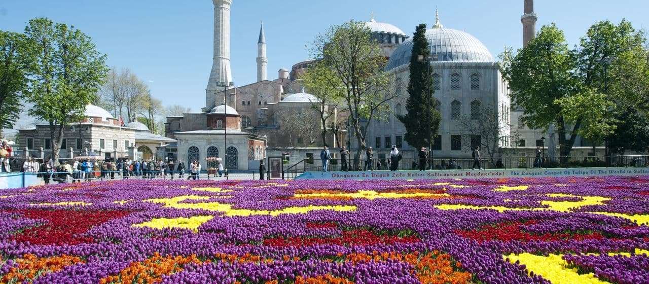 Пятидневная поездка для осмотра Стамбула и османских тюльпанов