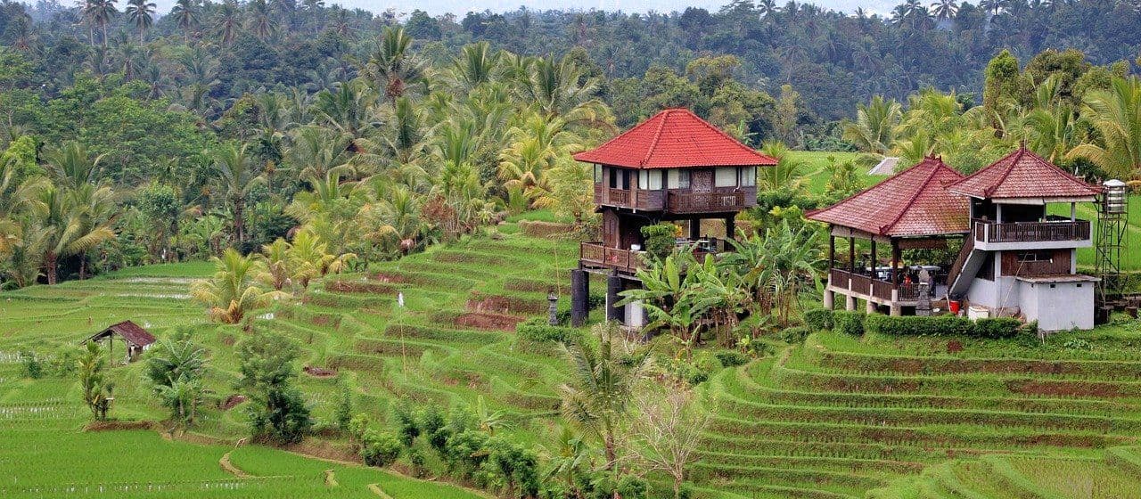 Открытие Бали: восемь мероприятий на острове богов 5