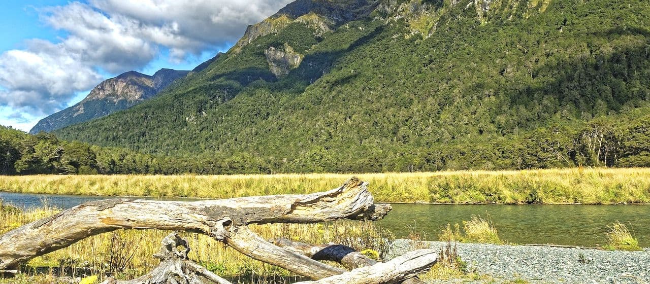 Важные аспекты, которые следует знать перед поездкой в Новую Зеландию 4
