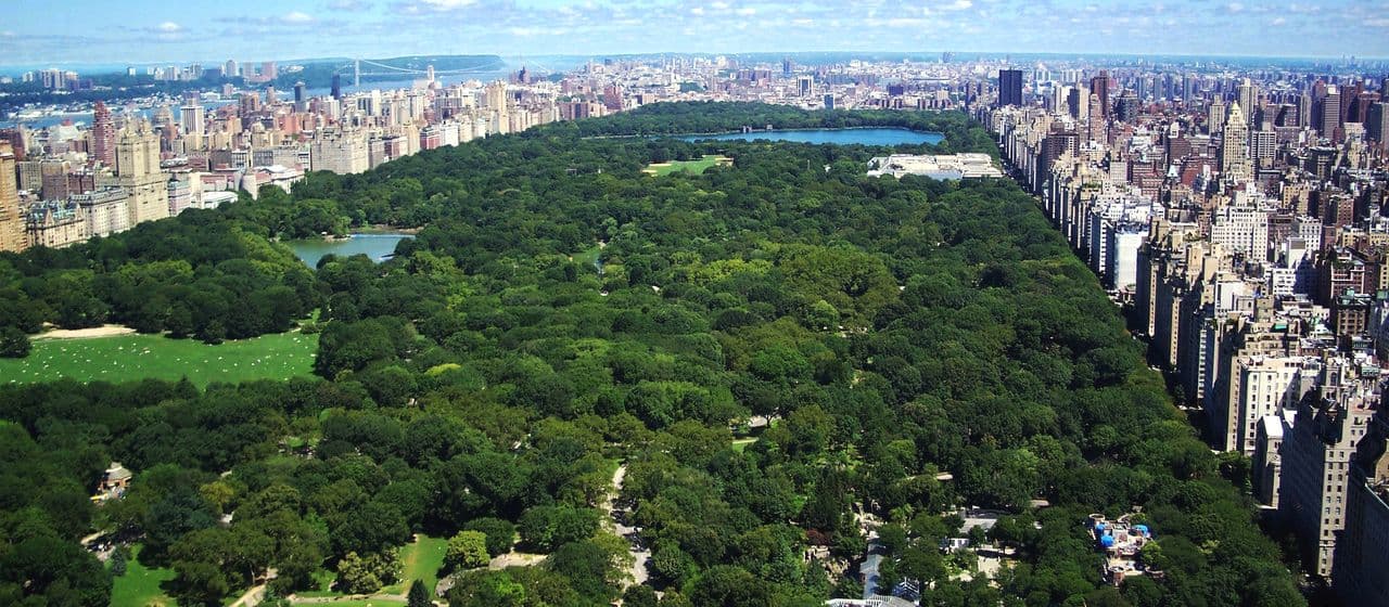 Самые живописные городские зеленые насаждения в мире