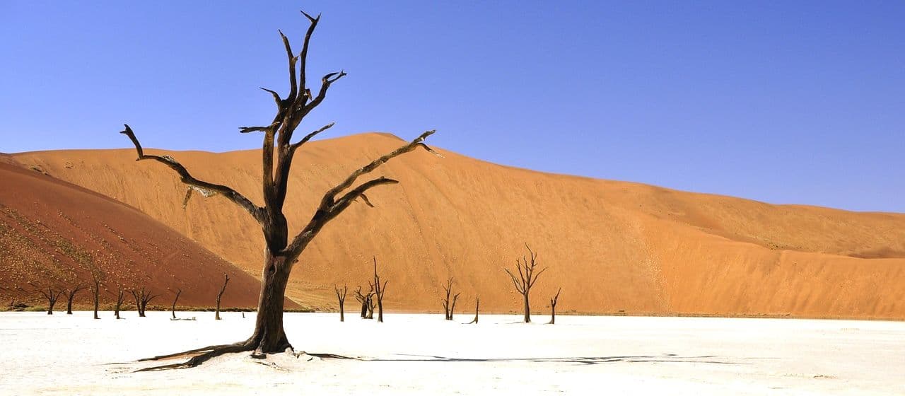 Намибия
