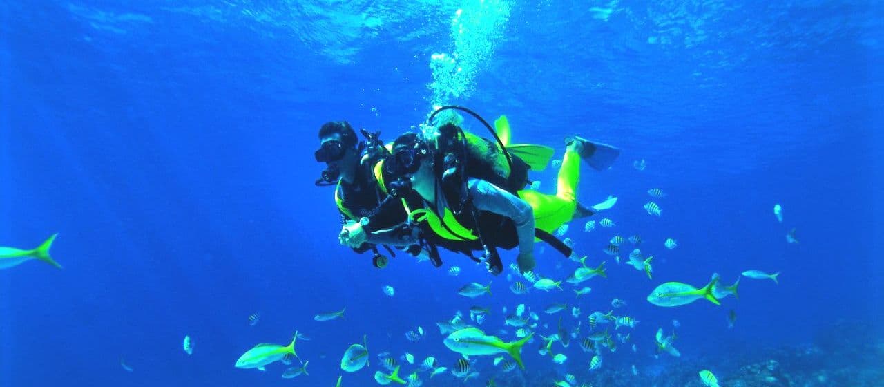 Как нырять с аквалангом и заниматься сноркелингом? Полное руководство по подводному плаванию с аквалангом