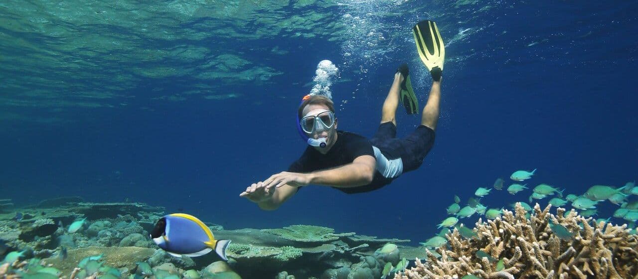 Как нырять с аквалангом и заниматься сноркелингом? Полное руководство по подводному плаванию с аквалангом 5