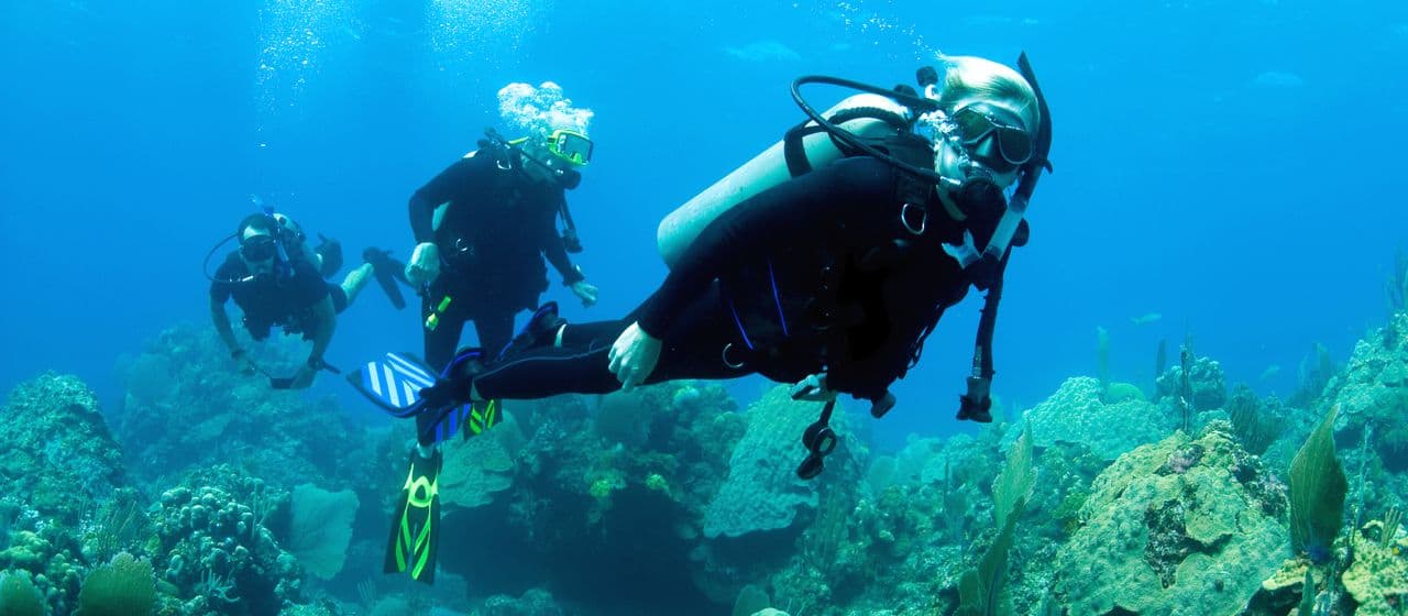 Как нырять с аквалангом и заниматься сноркелингом? Полное руководство по подводному плаванию с аквалангом