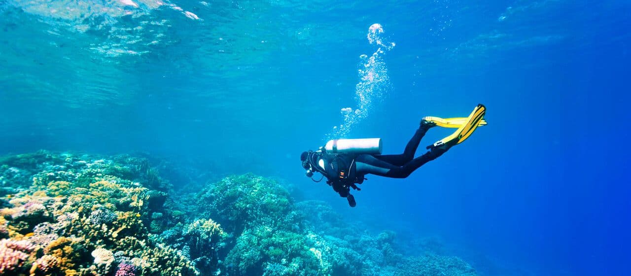 Как нырять с аквалангом и заниматься сноркелингом? Полное руководство по подводному плаванию с аквалангом 4