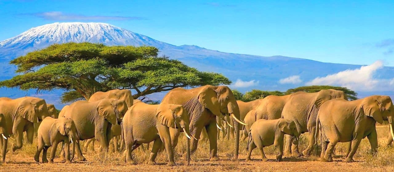 Топ 17 мест, куда можно отправиться в Африке: необыкновенные приключения и живописные ландшафты 4