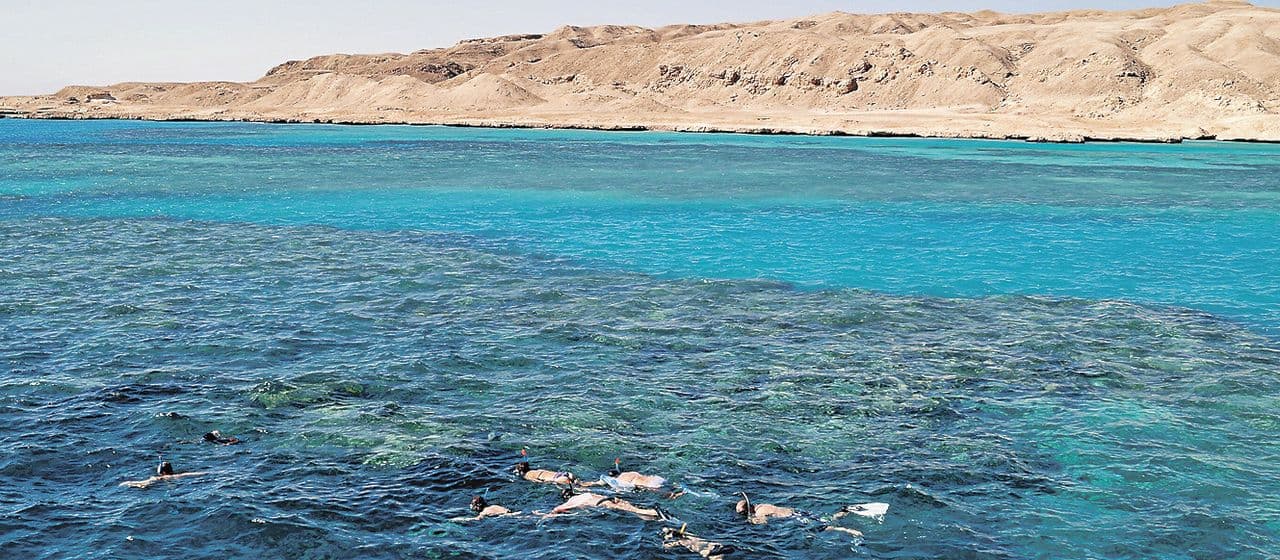 Исследование Красного моря в Саудовской Аравии выявило богатое биоразнообразие и новые виды