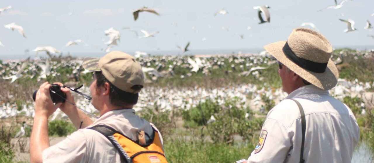 Рынок орнитологического туризма: перспективы индустрии орнитологического туризма на 2024-2030